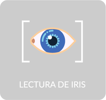 Lectura de iris